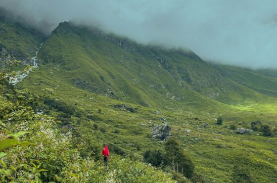 Valley of Flowers Trek