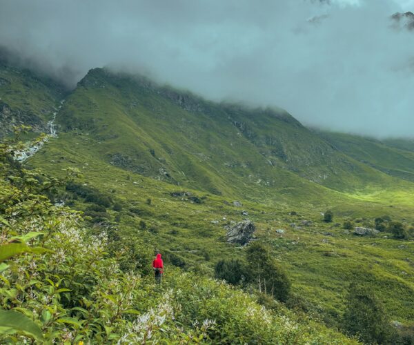 Valley of Flowers Trek
