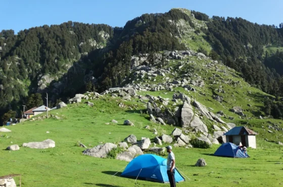 Triund Trek