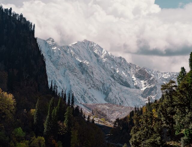 rizul-tayal-gN1HKQunO5A-unsplash